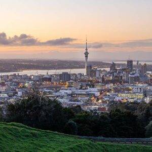 8 of the Best Google Ads Agencies in Auckland Thumbnail