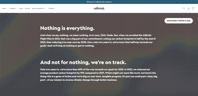 Screenshot of brand messaging on Allbirds website